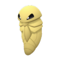 Kakuna