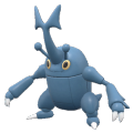 Heracross
