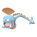 Huntail