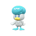 Quaxly